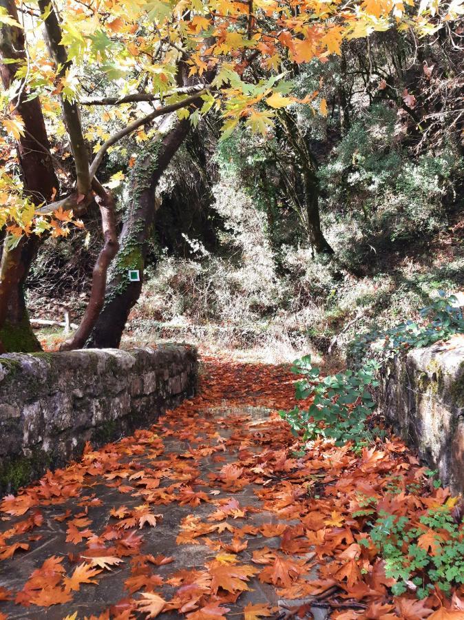 Agropoli Otel Nimfasía Dış mekan fotoğraf