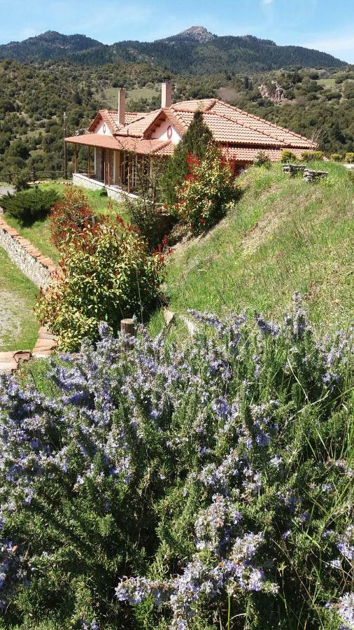 Agropoli Otel Nimfasía Dış mekan fotoğraf